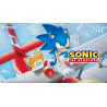 Magic the Gathering: Secret Lair x Sonic: Friends & Foes